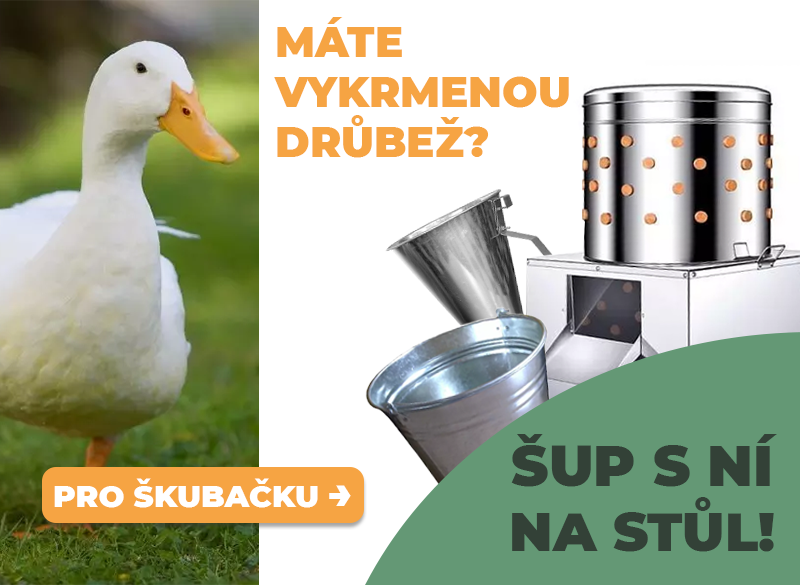 Obrázek slideru 8